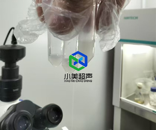 1739861563693060.jpg 2.jpg