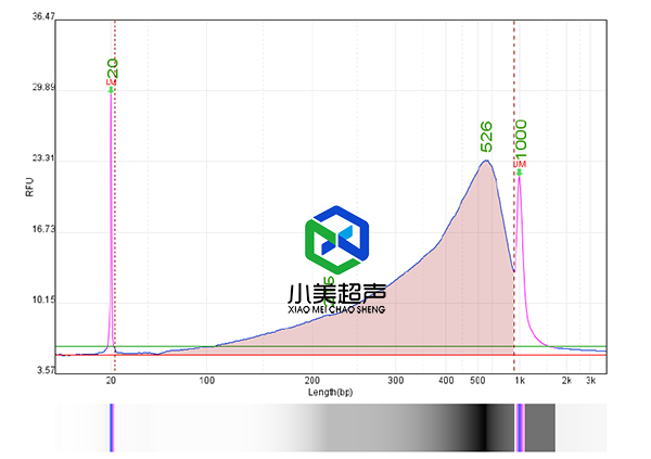 1757482600121655.jpg 9-10-4.jpg